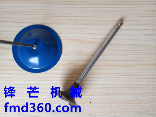 锋芒机械进口挖机配件小松PC300-8挖机6D114进气门C5307875(图1)
