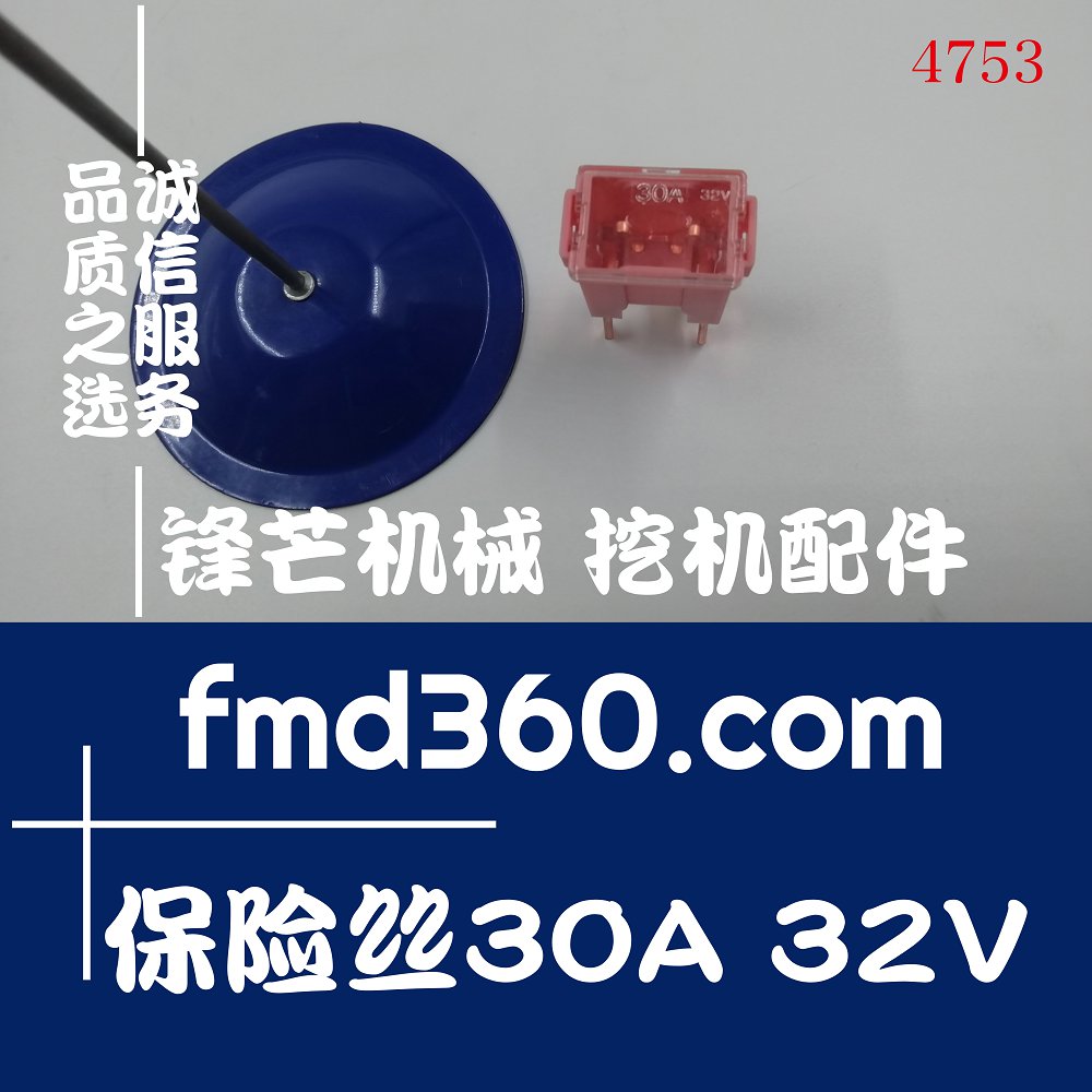 全新进口保险丝30A，32V(图1)