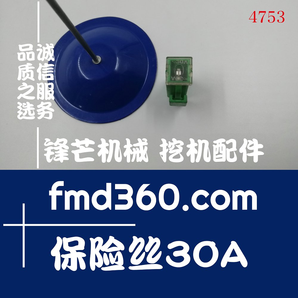 全新高质量优质保险丝30A(图1)