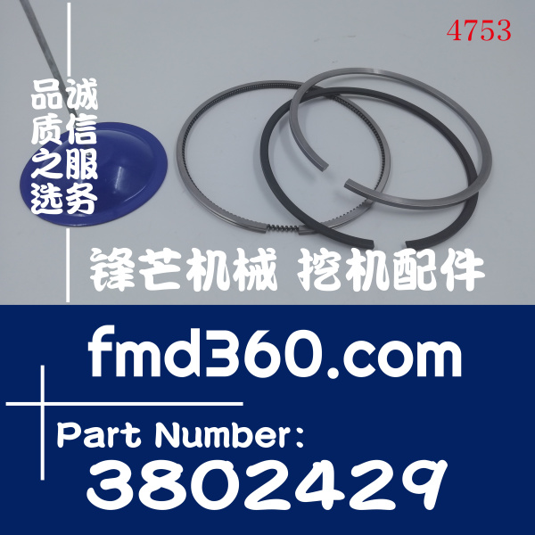 湖北省康明斯6CT8.3发动机活塞环3802429(图1)