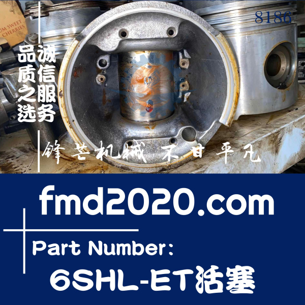 出口外贸挖掘机配件工程机械洋马船机6SHL-ET活塞(图1)