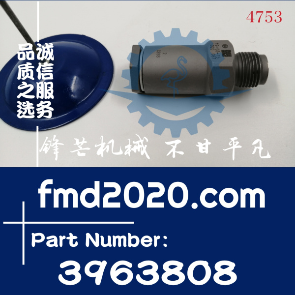 挖掘机配件小松PC300-8，6D114泄压阀1110010020，3963808(图1)