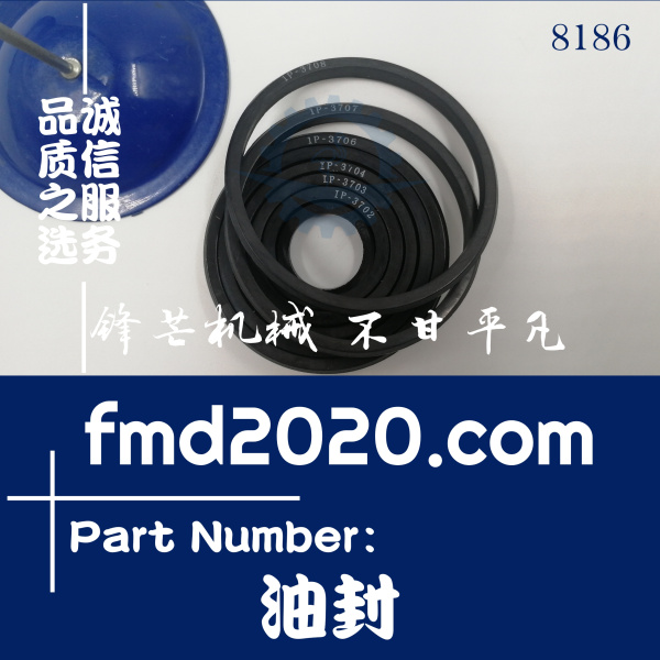 油封1P3700，1P3702，1P3704，1P3705，1P3706，1P3707，1P3708(图1)