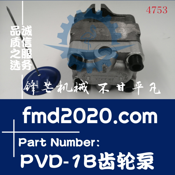 挖掘机配件大全齿轮泵先导泵PVD-1B齿轮泵(图1)