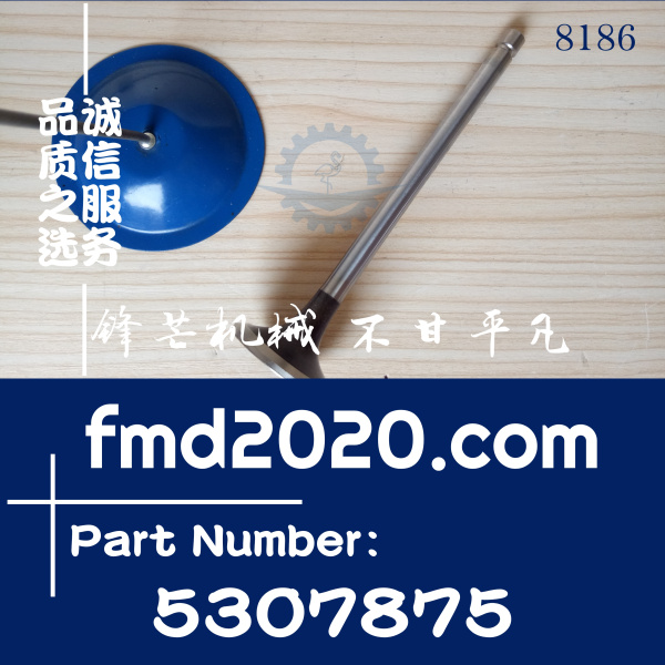 小松挖机配件PC300-8，6D114进气门C5307875，5307875(图1)