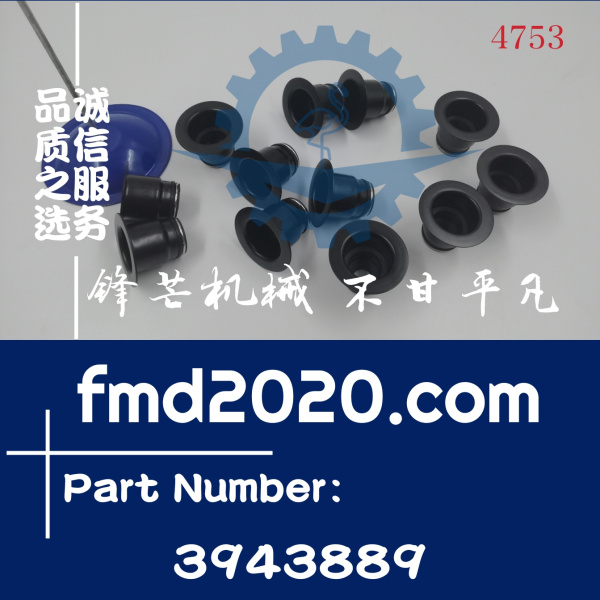 康明斯6CT8.3气门油封3991267，3943888，3943889(图1)