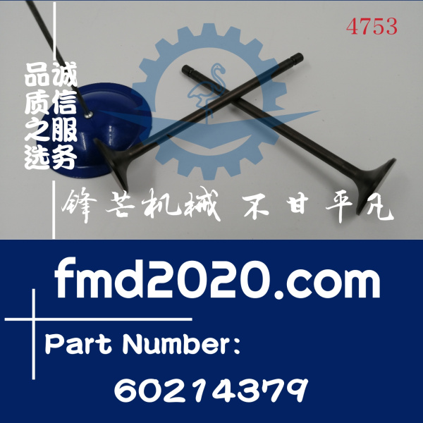 三一SY245C挖掘机D06FRC进气门60214379(图1)