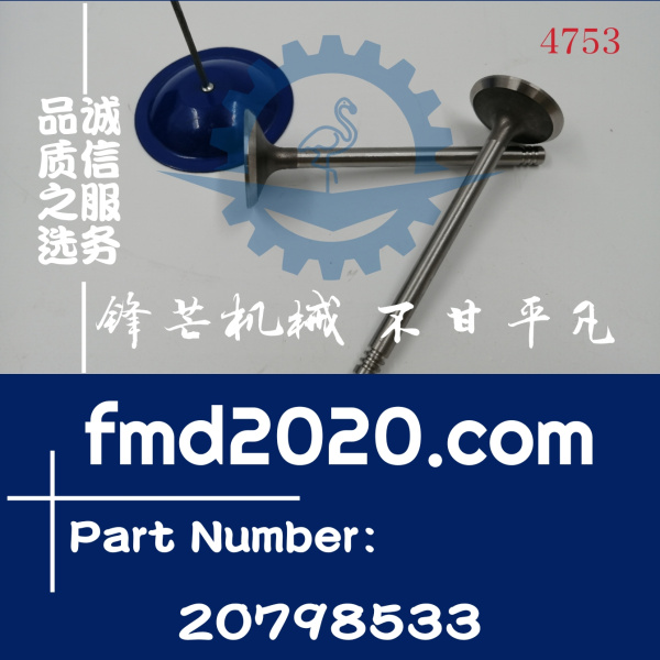 供应沃尔沃EC210B挖机D6E排气阀20798533，VOE20798533