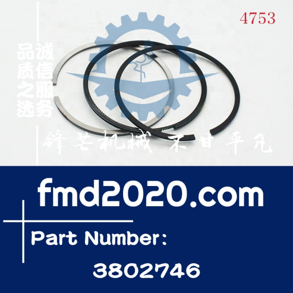 康明斯活塞环3802421，3802056，3802050，3802230，3802746