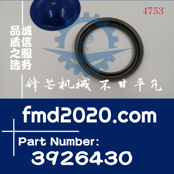 康明斯发动机曲轴前油封挡圈3926430(图1)