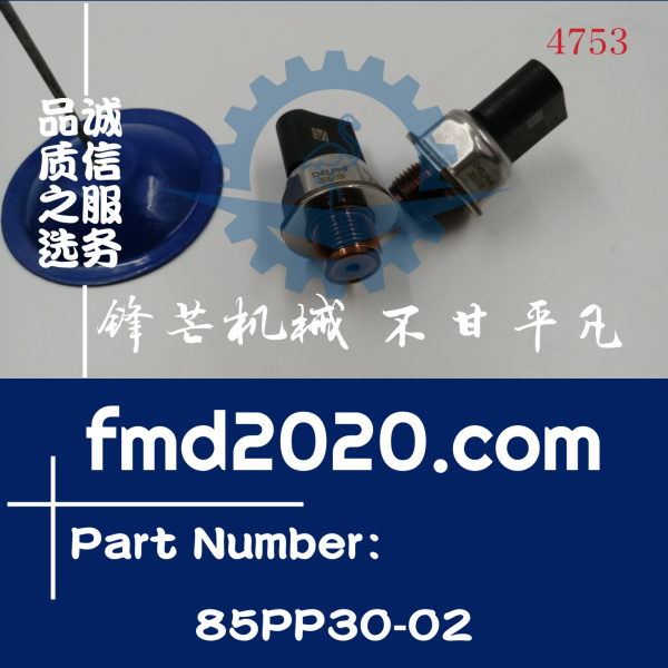 供应共轨压力传感器85PP3002，85PP30-02(图1)