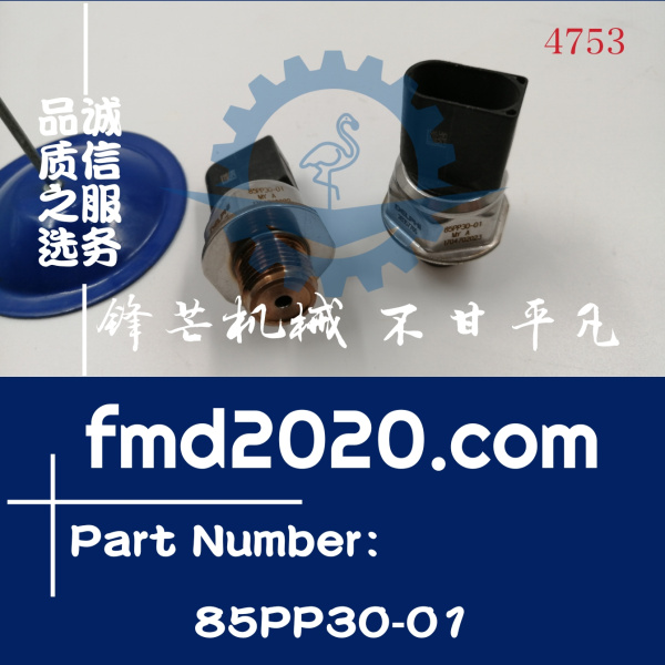 供应共轨压力传感器85PP3001，85PP30-01(图1)