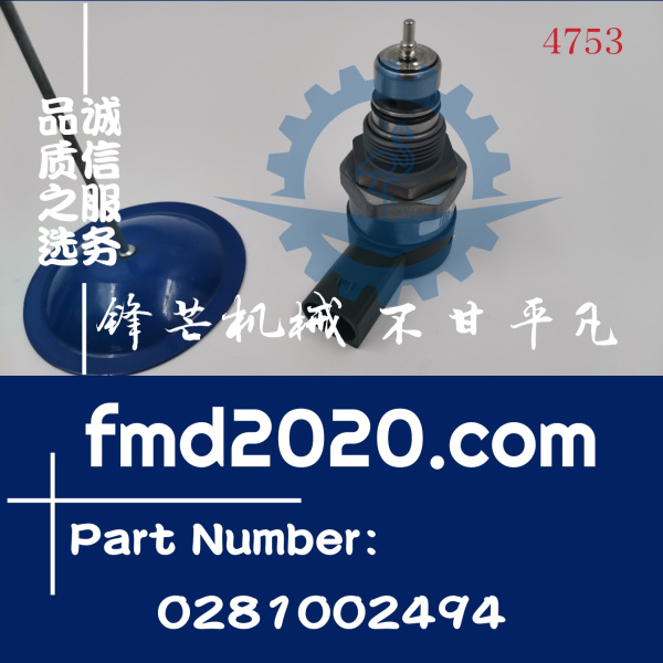 供应DRV燃油共轨控制阀0281002494